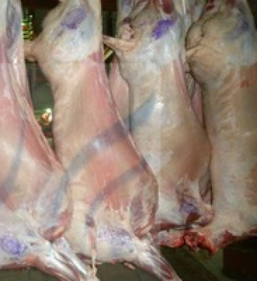 Frozen-Mutton-Lamb-Sheep-Meat-goat-boar.jpg_300x300.jpg