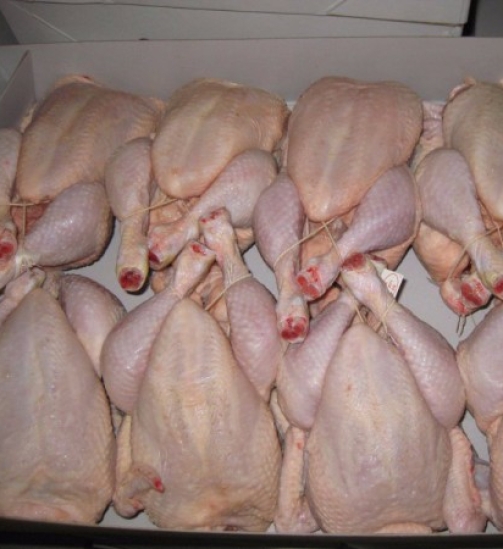 HALAL-FROZEN-CHICKEN-AND-PARTS.jpg