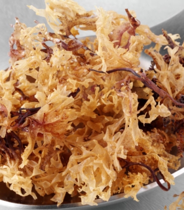 Sea-Moss.jpg