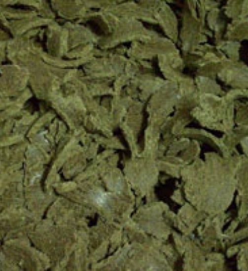 c41a7e08f3768612d5e8ba36788a1af1_404x404.jpg